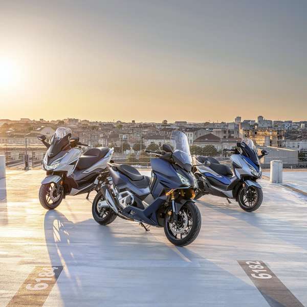 Neu für 2021: Honda Forza 350, Forza 750, Forza 125.