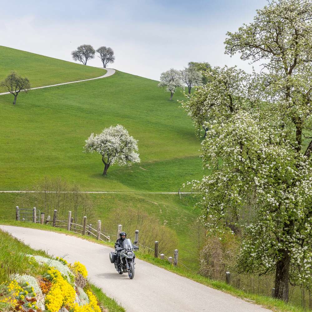 Mit dem Motorrad durch das blühende Mostviertel in Niederösterreich 