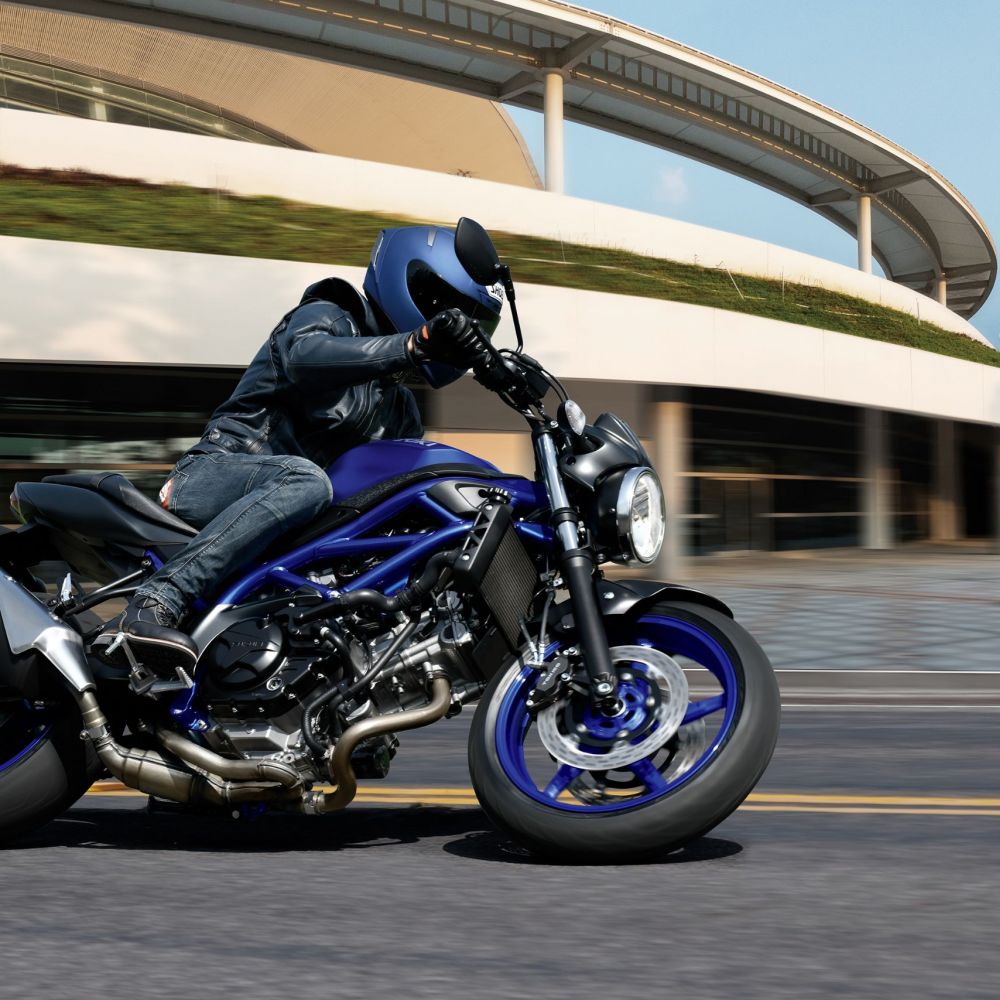 Suzuki SV650 2025 in Blau fahrend in Schräglage
