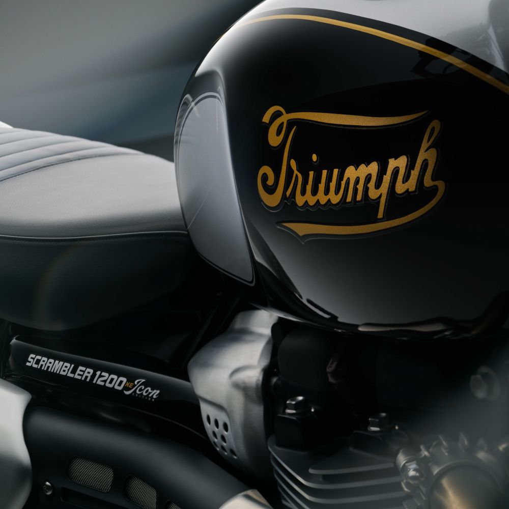 Tank der Triumph Scrambler 1200 XE Icon mit goldenem Triumph Schriftzug