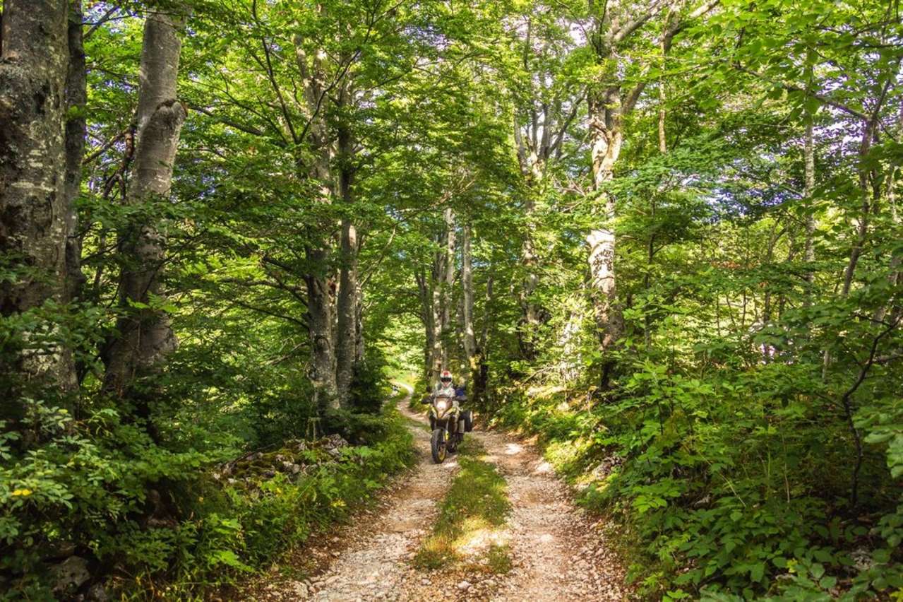 Wer den gpx-track mit Offroad-Anteil wählt, ist gut 20 Kilometer auf Schotterstraßen im Wald unterwegs.