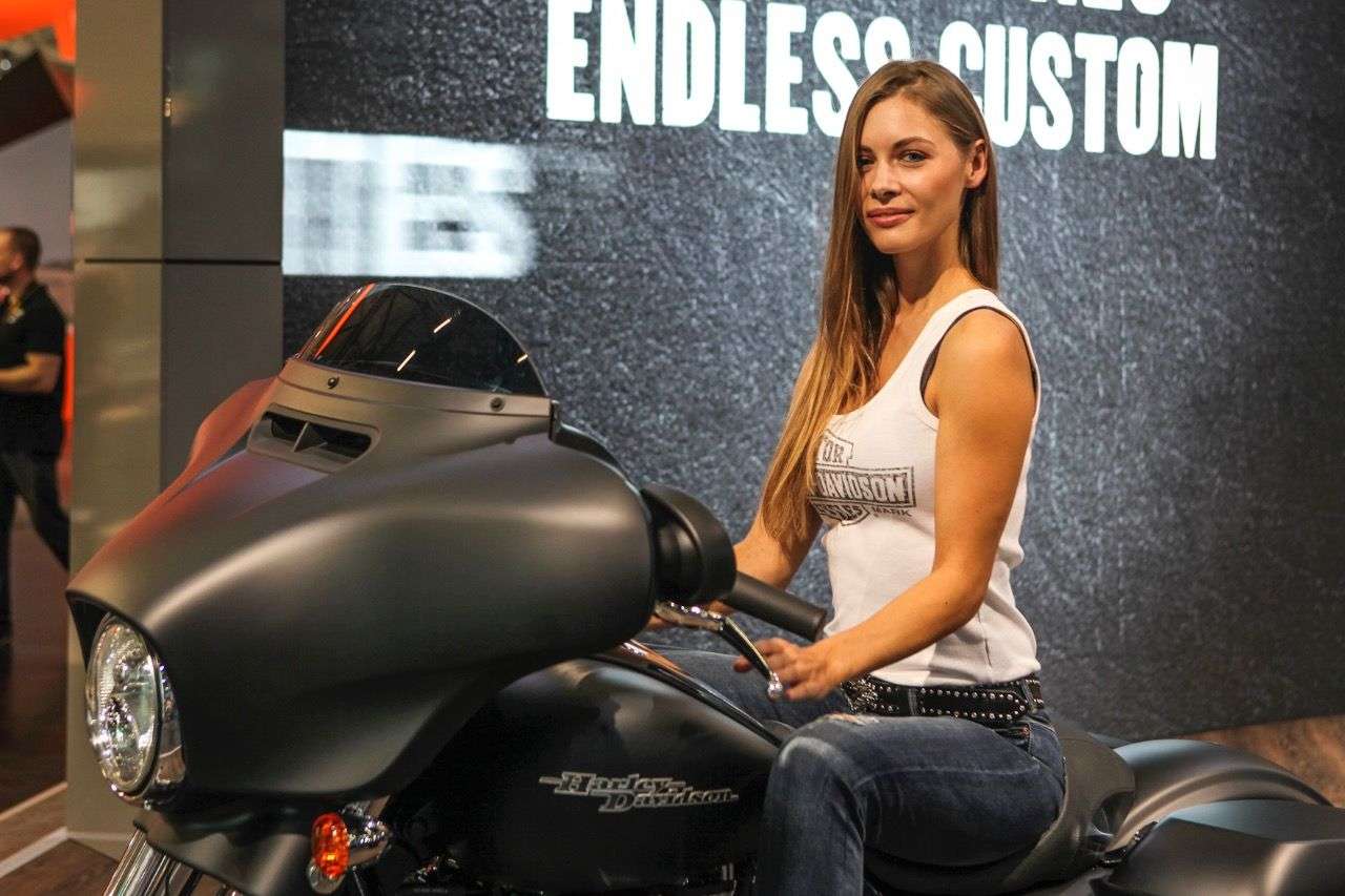 Harley-Davidson Touring-Palette.